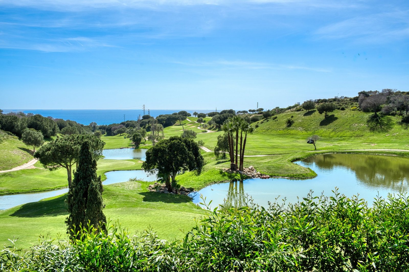Estepona Centre and Old Town area view 1